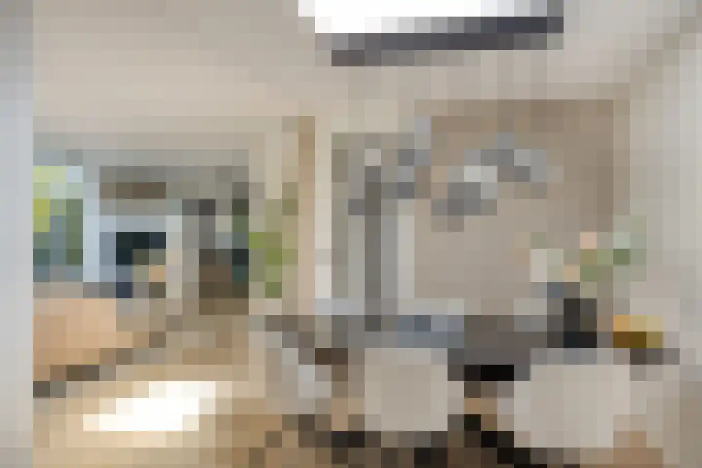 Volkering 8 Goor thumbnail 21