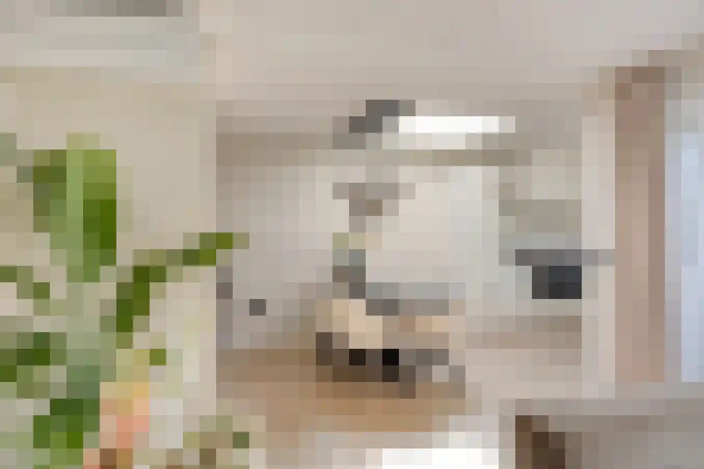 Volkering 8 Goor thumbnail 22