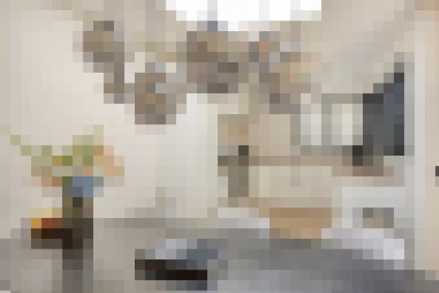 Volkering 8 Goor thumbnail 23