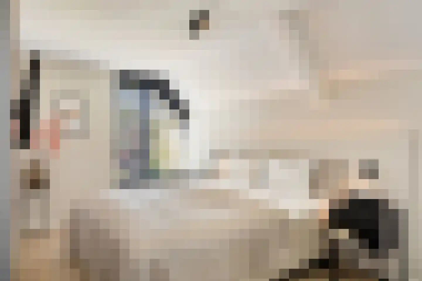 Volkering 8 Goor thumbnail 33