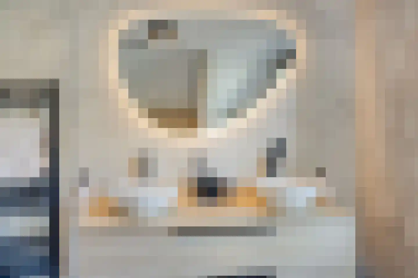Volkering 8 Goor thumbnail 39