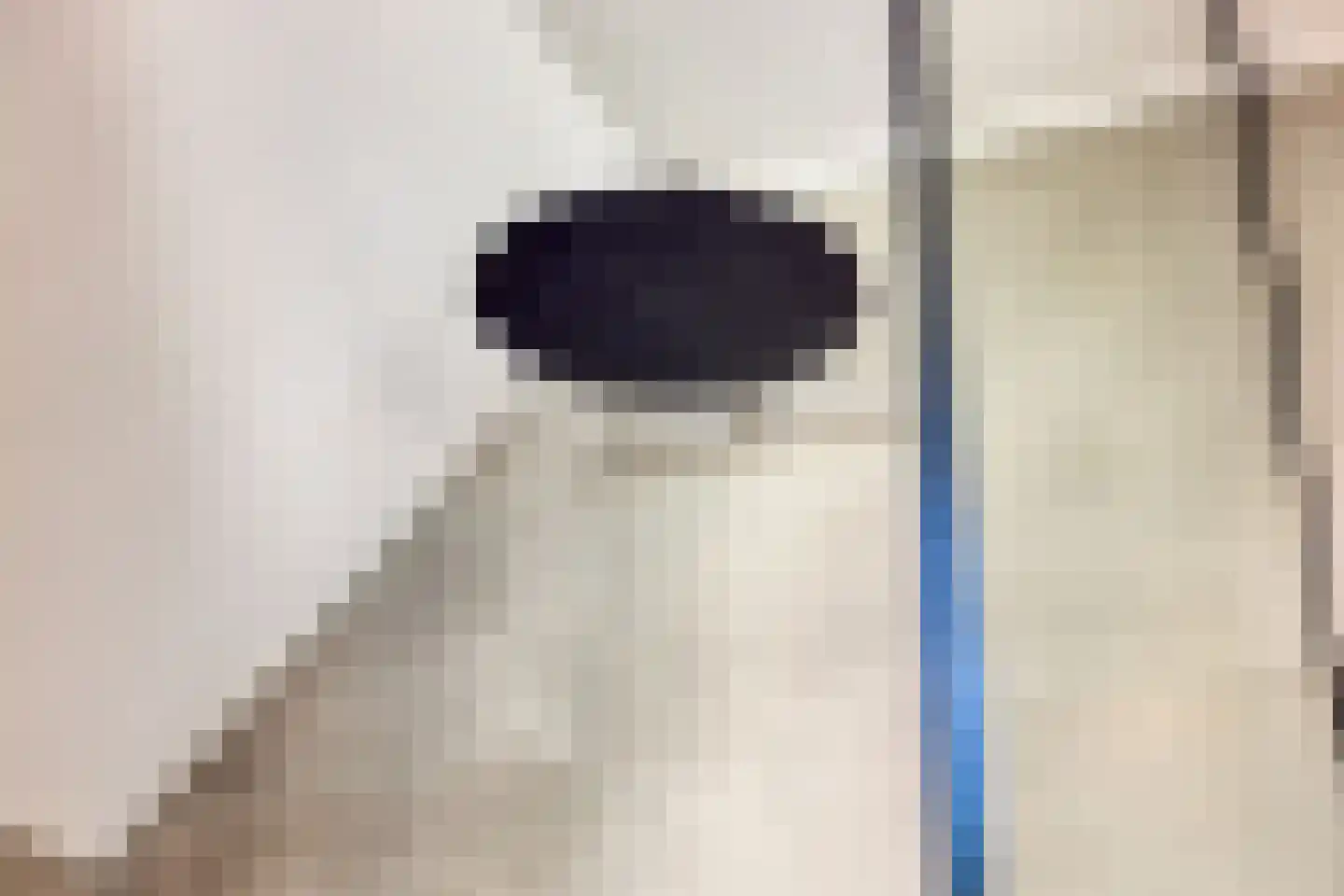 Volkering 8 Goor thumbnail 40