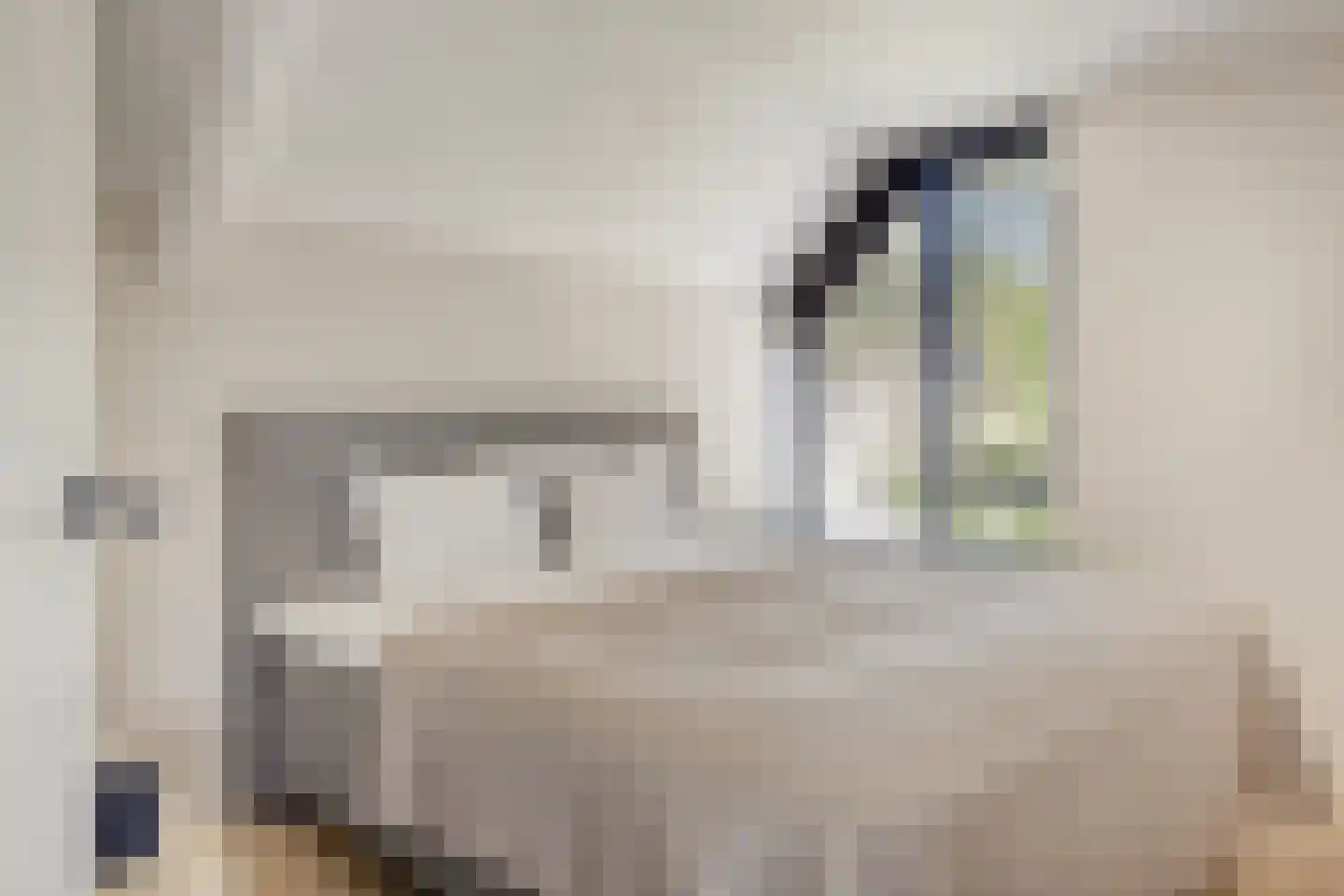 Volkering 8 Goor thumbnail 42