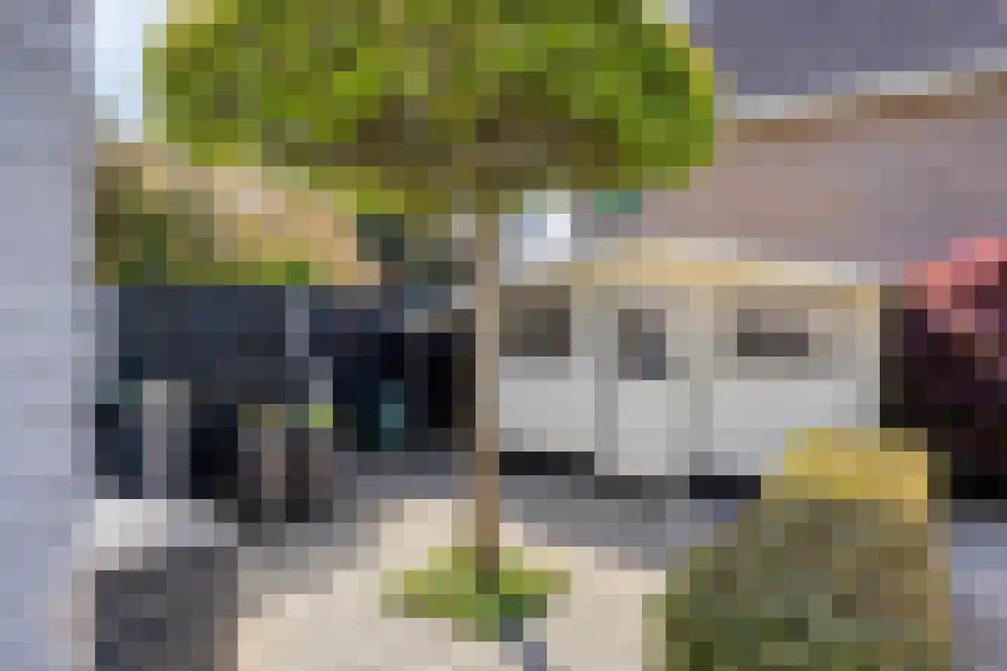 Volkering 8 Goor thumbnail 51