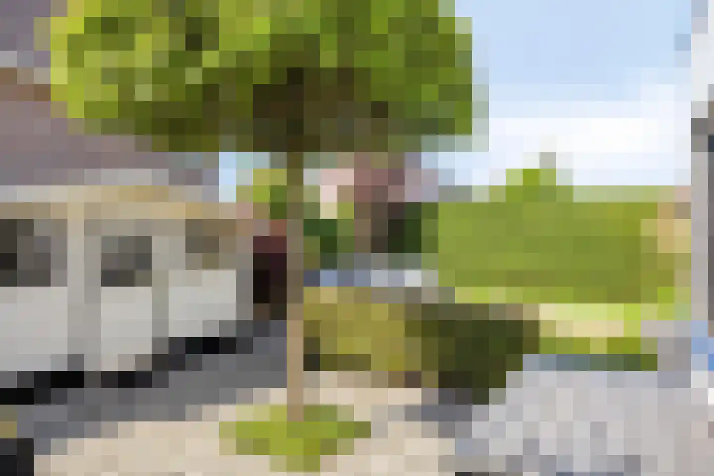 Volkering 8 Goor thumbnail 52