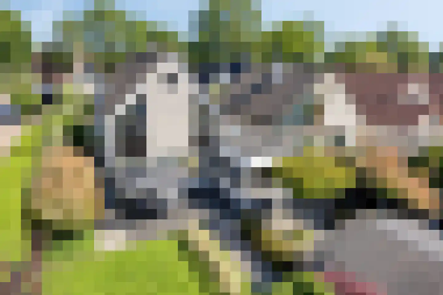 Volkering 8 Goor thumbnail 58