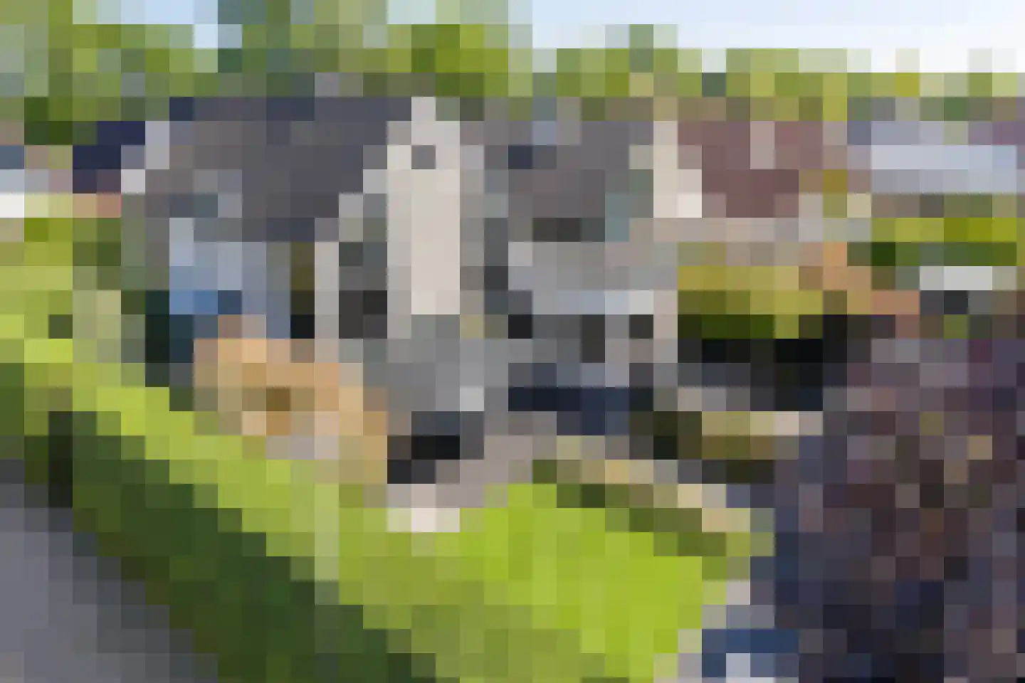 Volkering 8 Goor thumbnail 59
