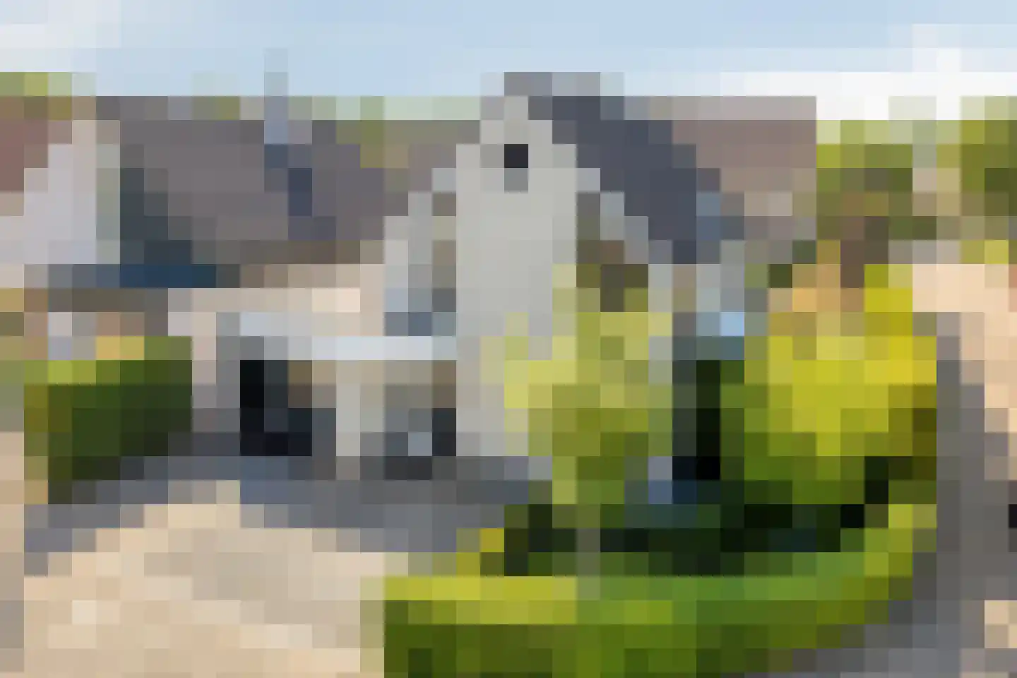Volkering 8 Goor thumbnail 61