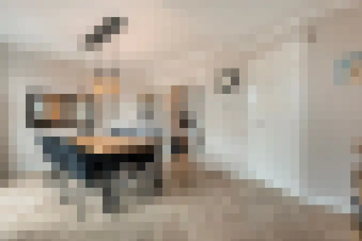 Volkerinksstraat 26 Almelo thumbnail 12