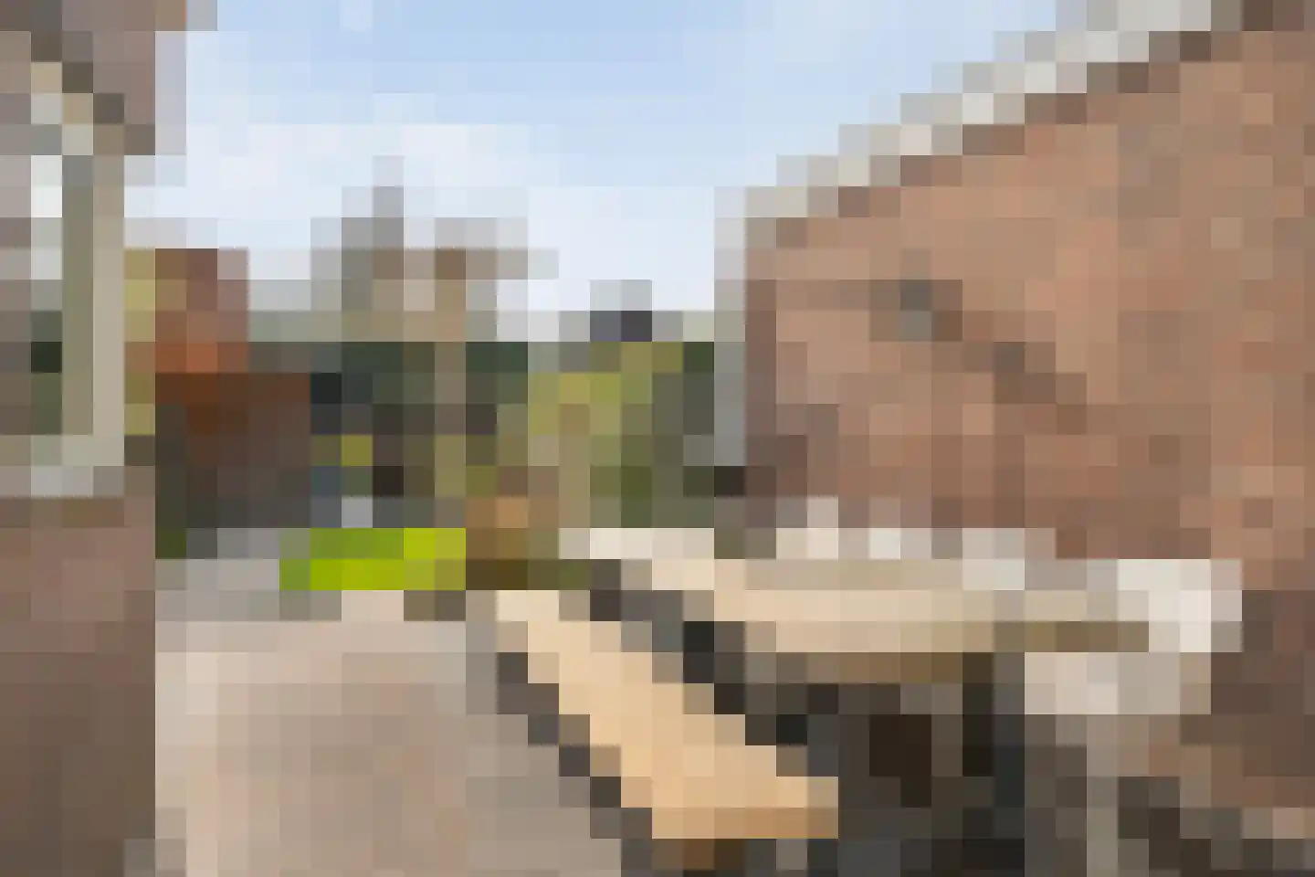 Volkerinksstraat 26 Almelo thumbnail 27