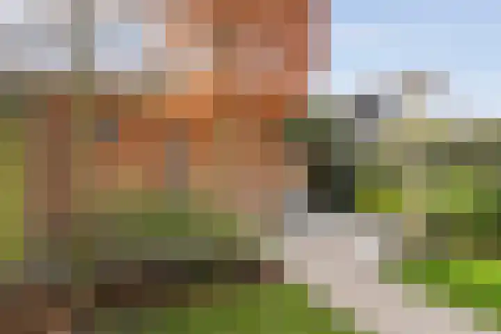 Volkerinksstraat 26 Almelo thumbnail 33