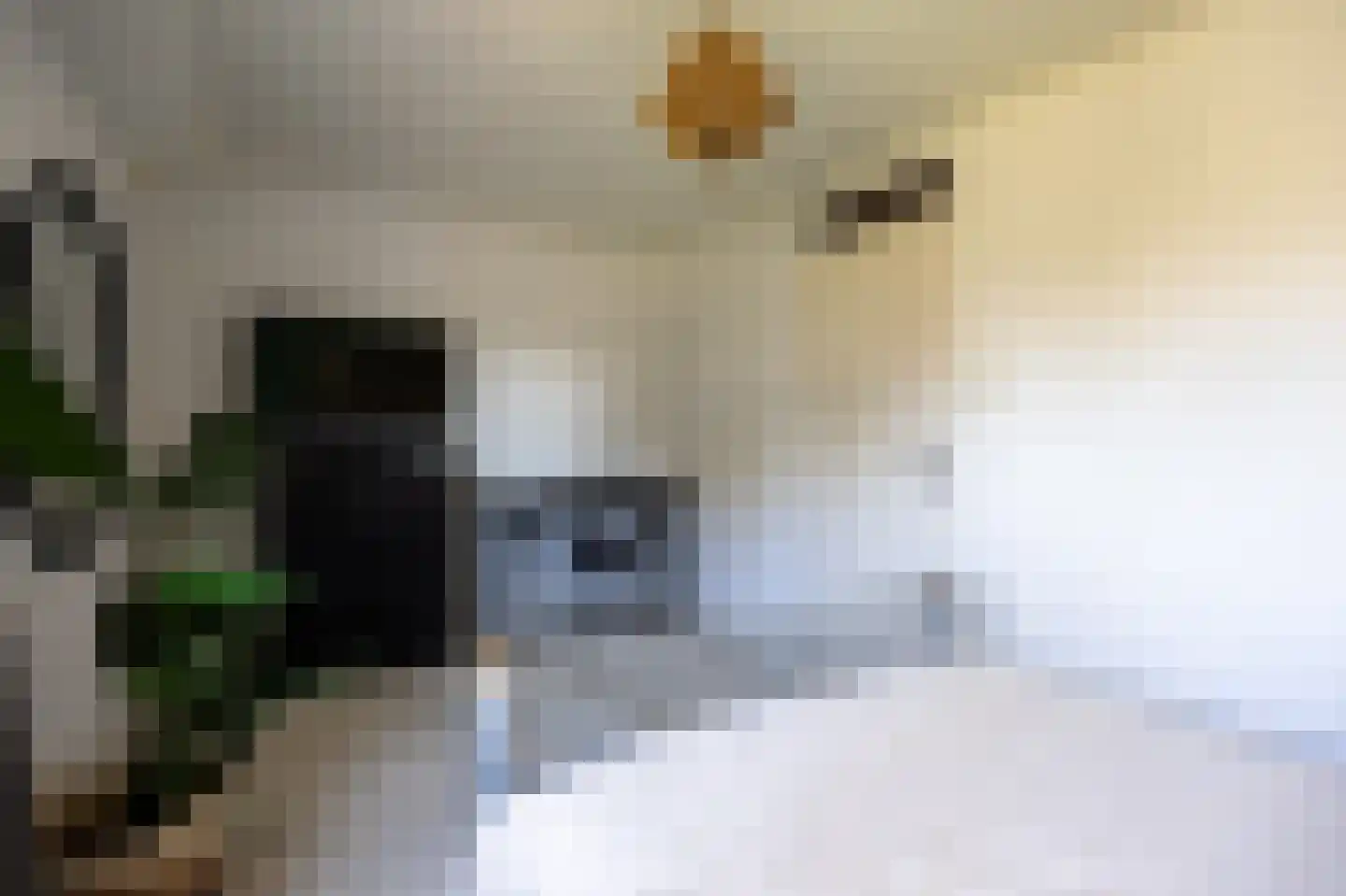 Volkersweg 19 Zwaagdijk-Oost thumbnail 18