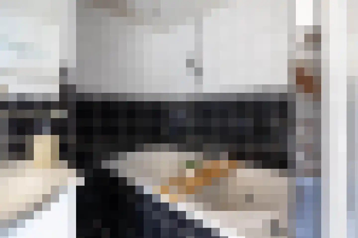 Volkersweg 19 Zwaagdijk-Oost thumbnail 20