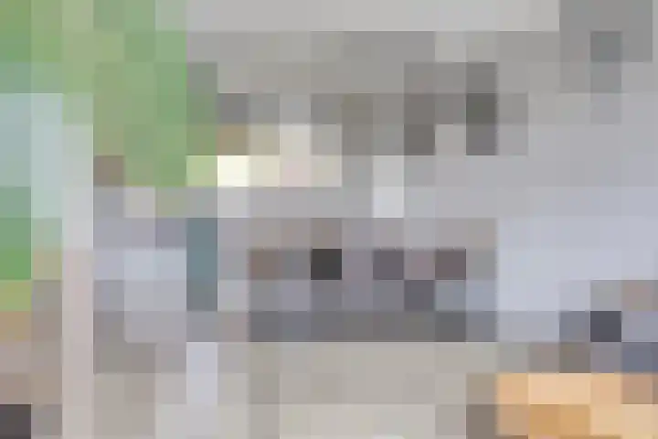 Volkersweg 30 Zwaagdijk-Oost thumbnail 17
