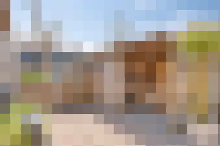 Volkersweg 30 Zwaagdijk-Oost thumbnail 32