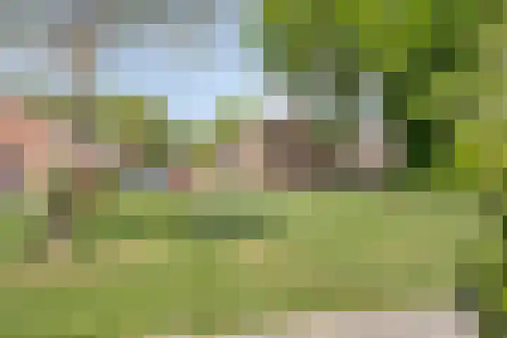 Volkersweg 30 Zwaagdijk-Oost thumbnail 8