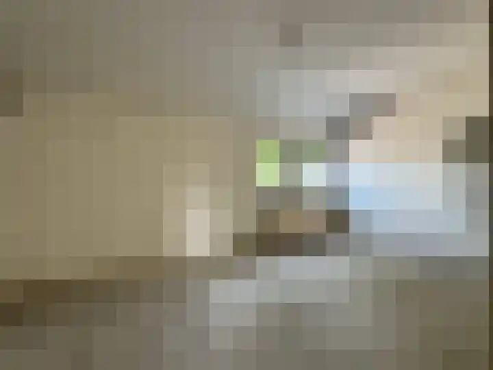 Volkersweg 53 Zwaagdijk-Oost thumbnail 11