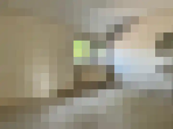 Volkersweg 53 Zwaagdijk-Oost thumbnail 12