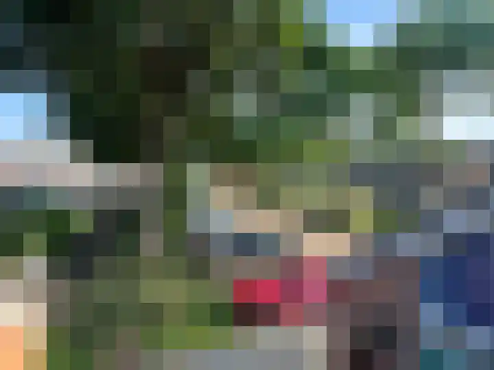 Volkersweg 53 Zwaagdijk-Oost thumbnail 14