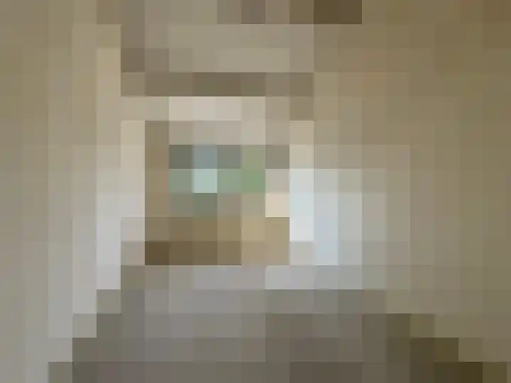 Volkersweg 53 Zwaagdijk-Oost thumbnail 8