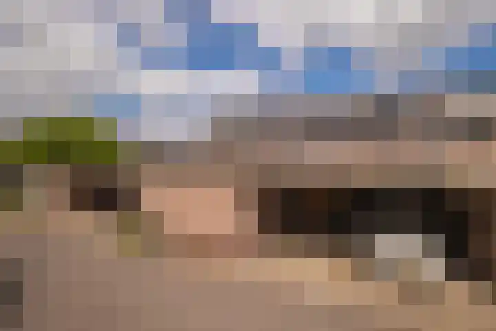 Logo van Volkerts Makelaardij