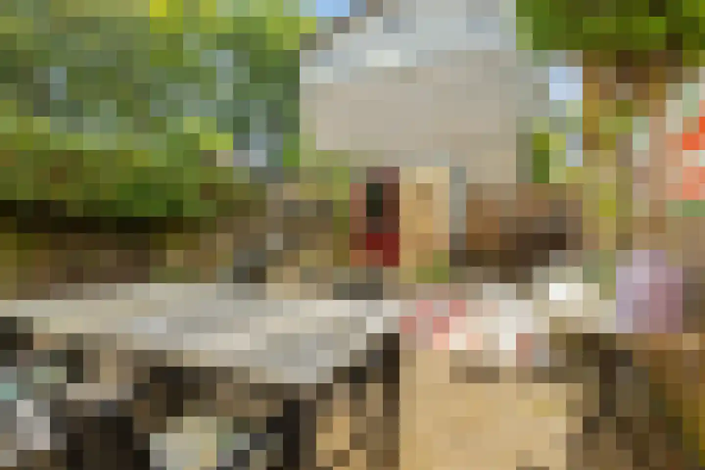 Volksweerbaarheid 9 Gorinchem thumbnail 13