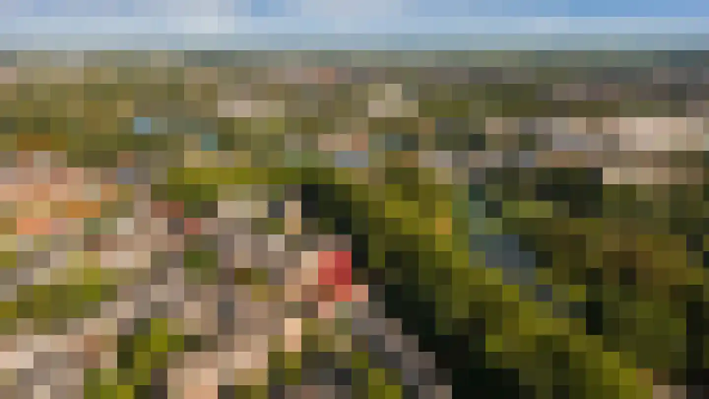 Volksweerbaarheid 9 Gorinchem thumbnail 33