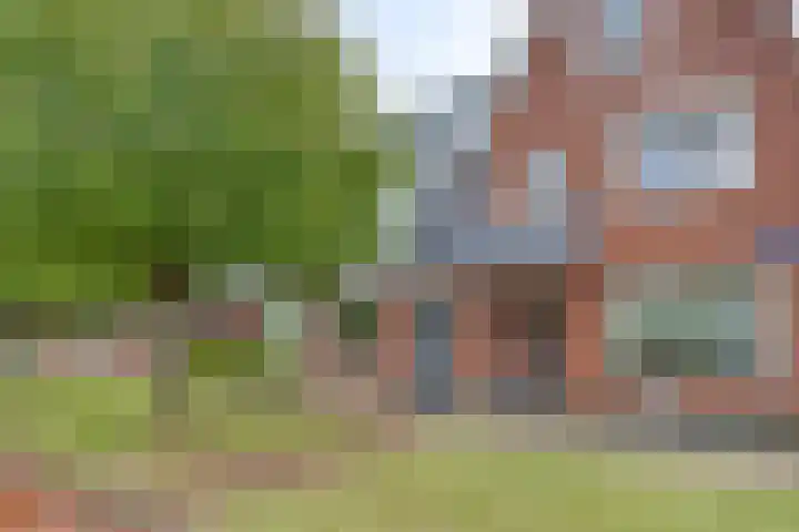 Vollenhove 6 Volendam thumbnail 26
