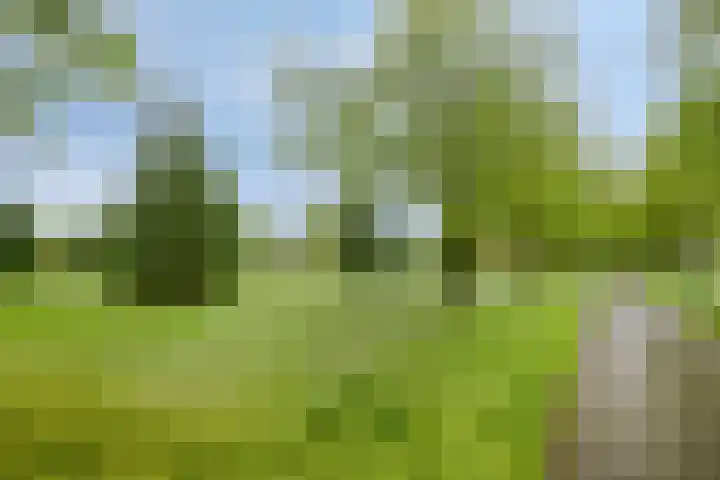 Vollenhovekade 16 Amersfoort thumbnail 31