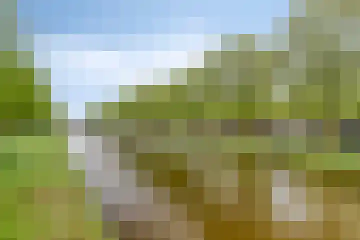 Vollenhovekade 16 Amersfoort thumbnail 32