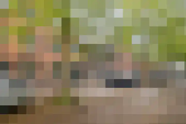 Vollenhovekade 16 Amersfoort thumbnail 4