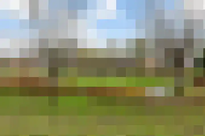 Vollenhovekade 62 Amersfoort thumbnail 28