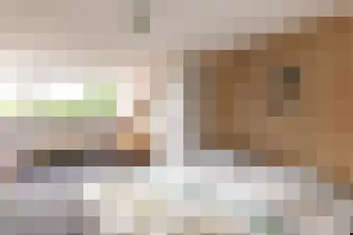 Vollenhovemeen 23 Harderwijk thumbnail 29