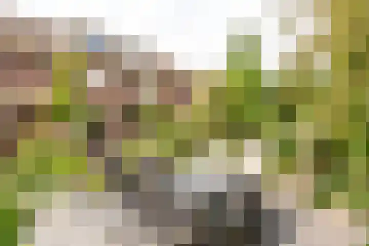 Vollenhovemeen 23 Harderwijk thumbnail 31