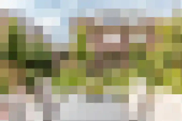 Vollenhovemeen 23 Harderwijk thumbnail 32