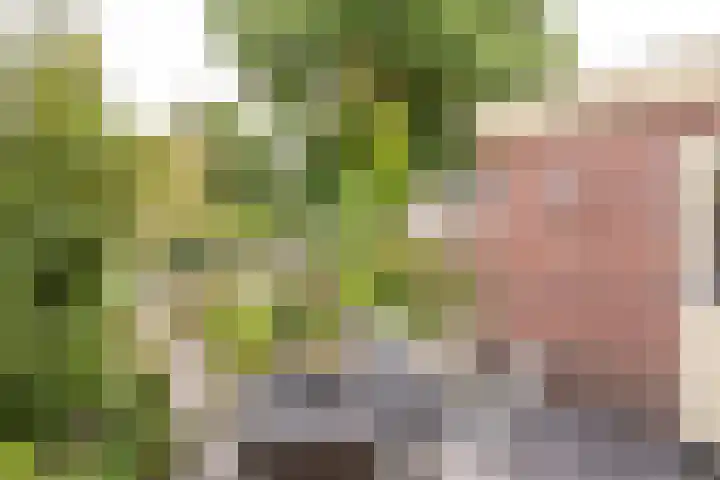 Vollenhovemeen 23 Harderwijk thumbnail 33