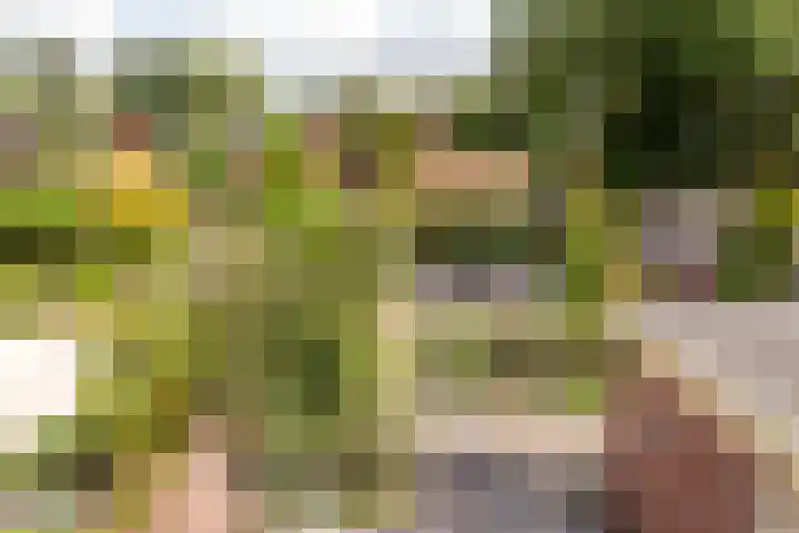Vollenhovemeen 23 Harderwijk thumbnail 34