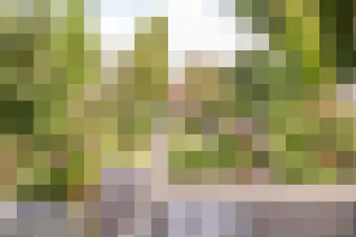 Vollenhovemeen 23 Harderwijk thumbnail 35