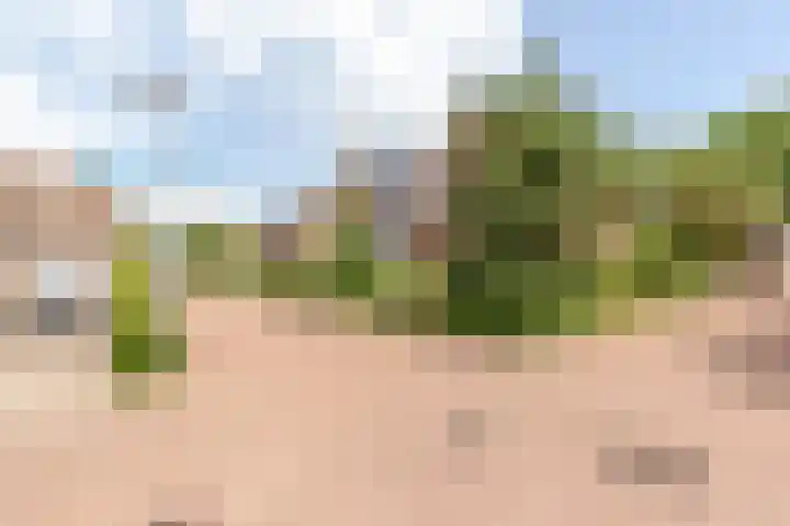 Vollenhovemeen 23 Harderwijk thumbnail 42