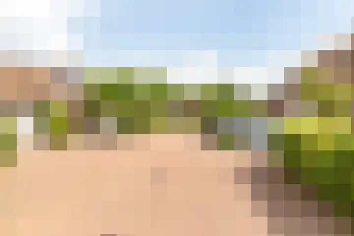 Vollenhovemeen 23 Harderwijk thumbnail 44
