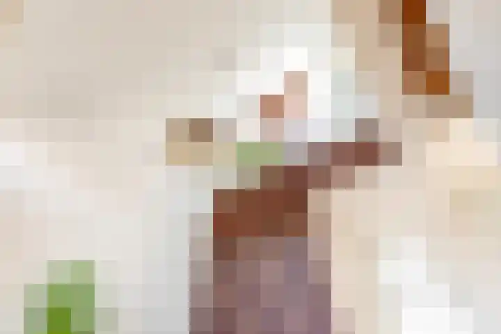 Vollenhovemeen 24 Harderwijk thumbnail 12