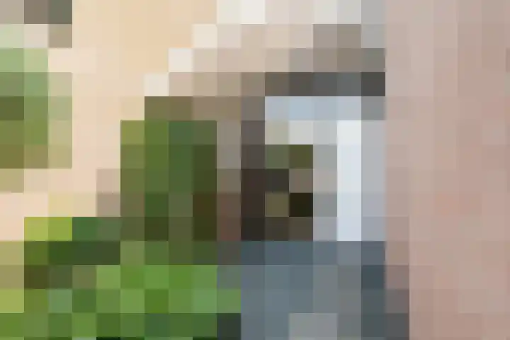 Vollenhovemeen 24 Harderwijk thumbnail 30