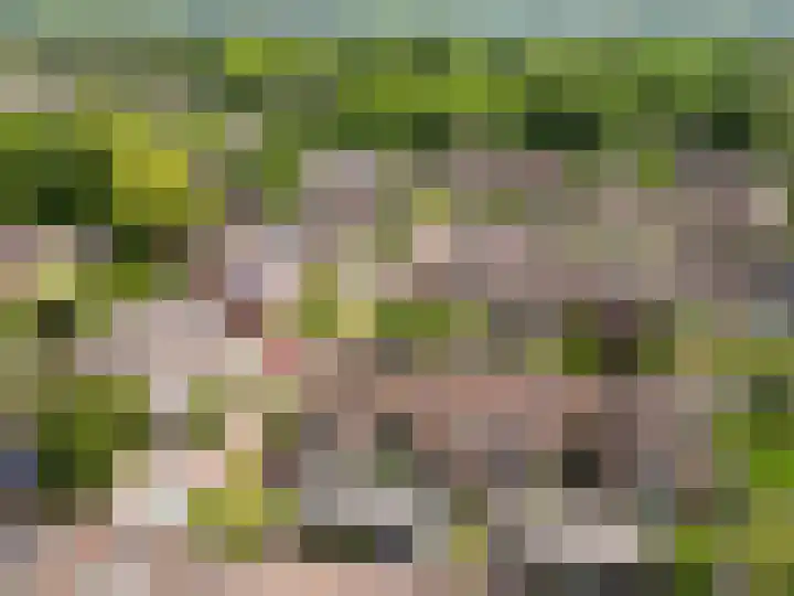Vollenhovemeen 24 Harderwijk thumbnail 31