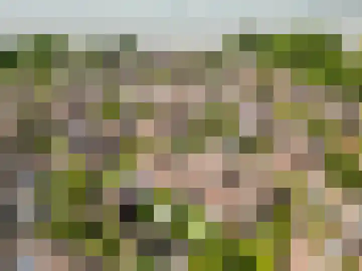 Vollenhovemeen 24 Harderwijk thumbnail 32