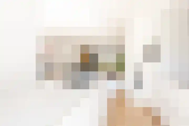 Vollenhovemeen 24 Harderwijk thumbnail 7