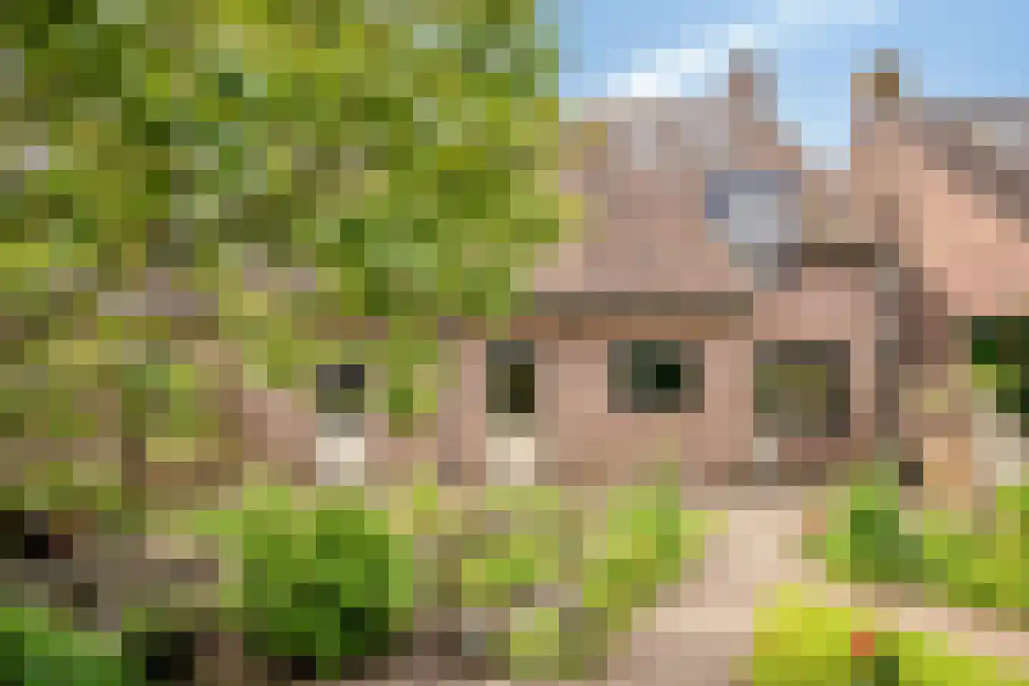 Vollenhovemeen 9 Harderwijk thumbnail 35