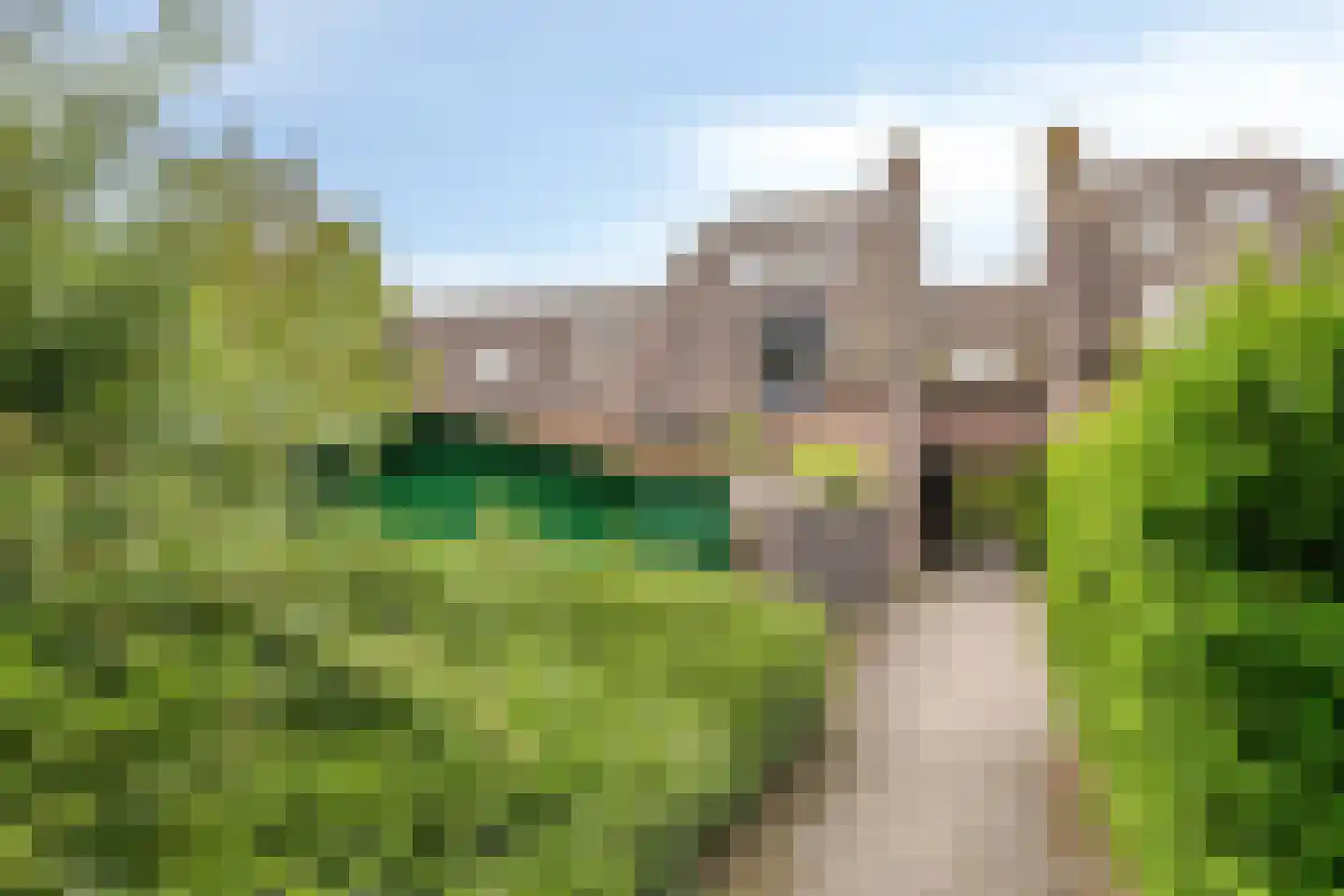 Vollenhovemeen 9 Harderwijk thumbnail 36