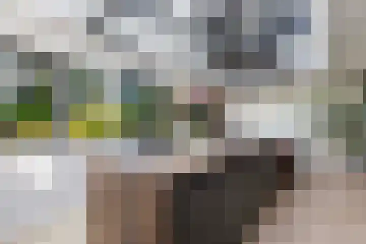 Vollenhoverweg 17 A Marknesse thumbnail 13