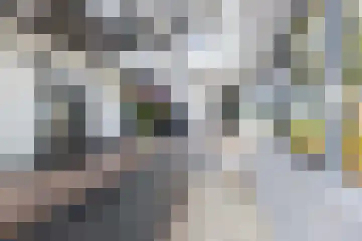 Vollenhoverweg 17 A Marknesse thumbnail 15