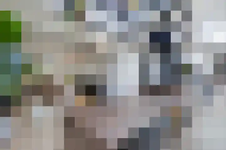 Vollenhoverweg 17 A Marknesse thumbnail 16